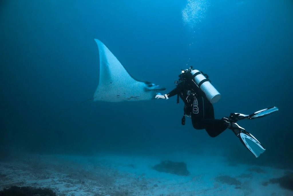 Padi Gili Trawangan